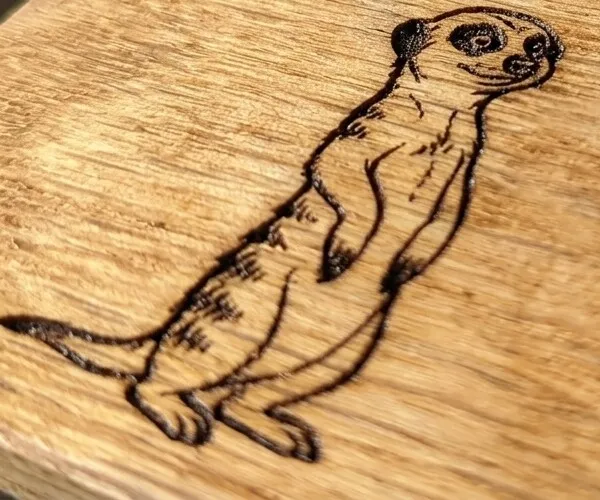 Macro close-up of a laser-engraved meerkat on the hand-sanded Baltic birch divider face